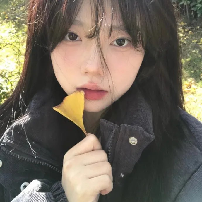 新手