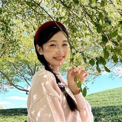 贵妇失踪记